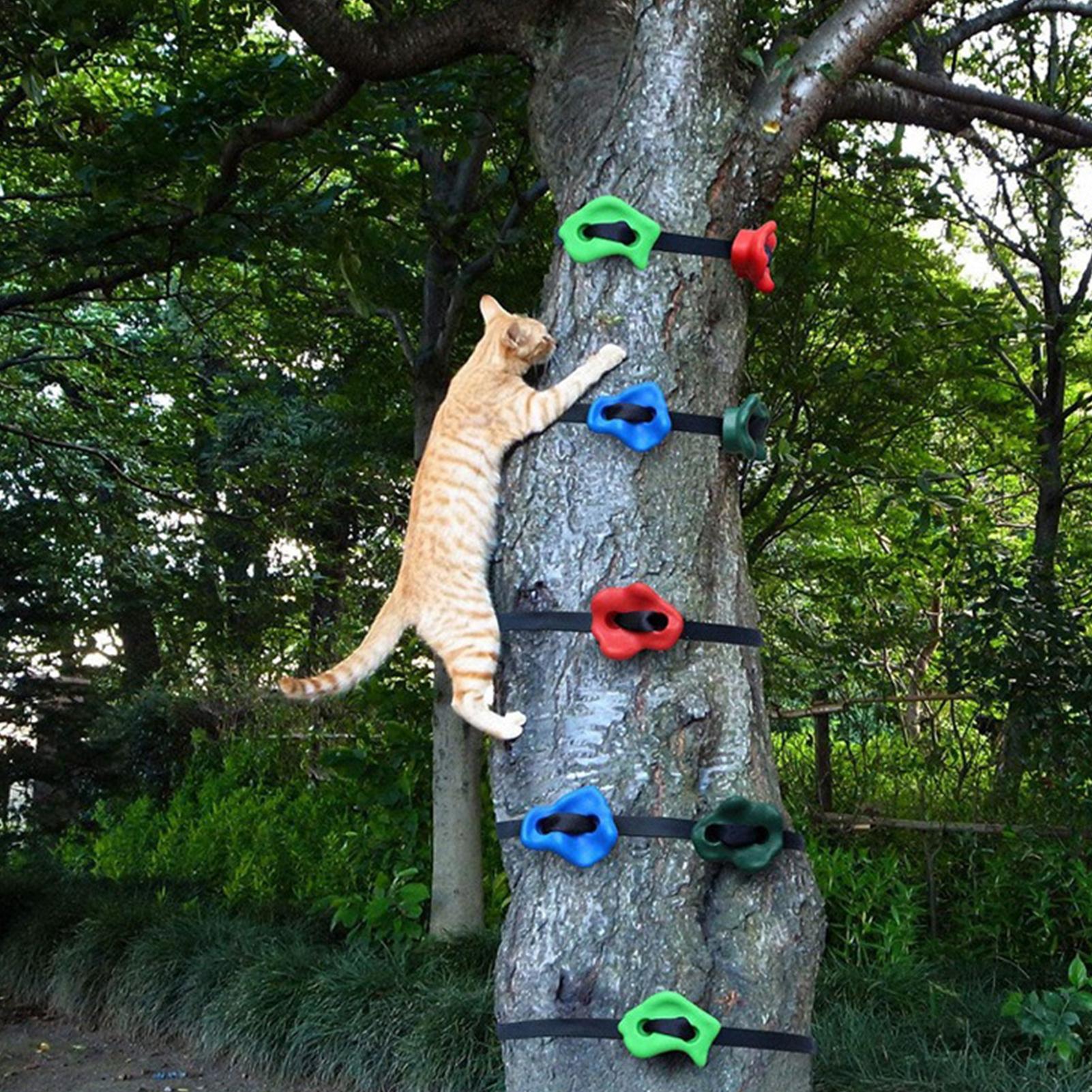 Tree Climbing Equipment Adjust - огляд і ціна Outdoor Adventure Store