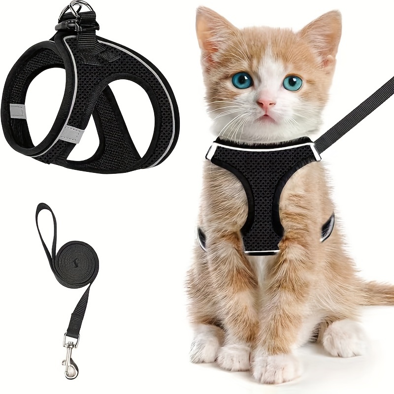 Escape-Proof Cat Harness & Lea - огляд і ціна Outdoor Adventure Kit